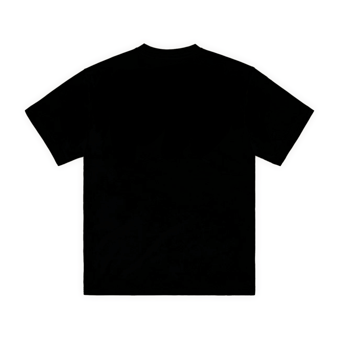 VSTRAL WORLD STANDARD TEE [BLACK]